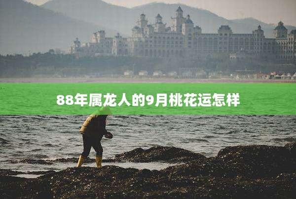88年属龙人的9月桃花运怎样