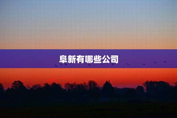 阜新有哪些公司