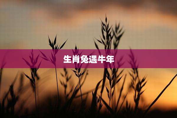 生肖兔遇牛年