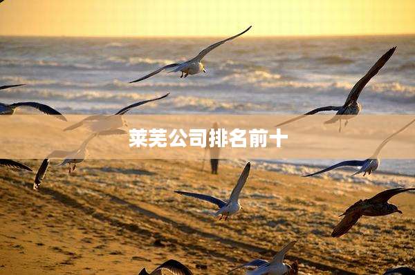 莱芜公司排名前十