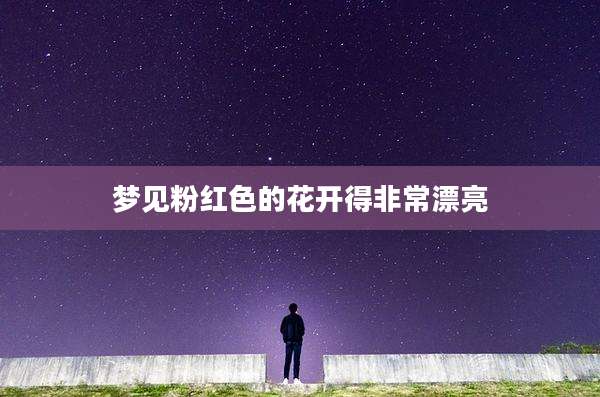 梦见粉红色的花开得非常漂亮