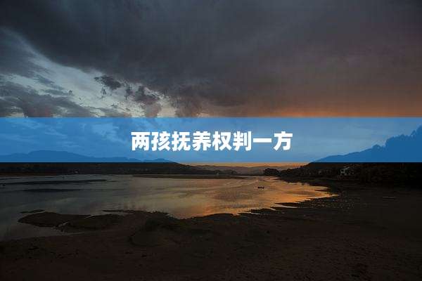 两孩抚养权判一方