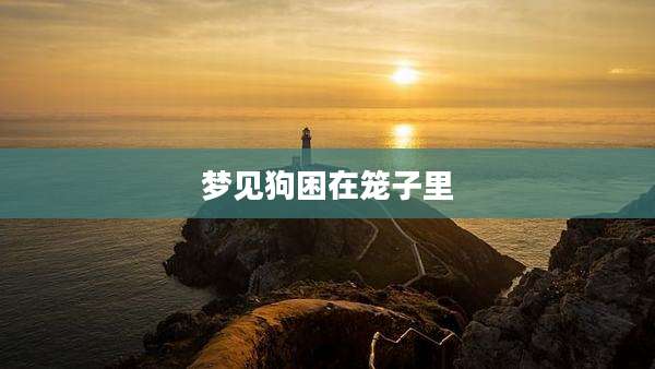 梦见狗困在笼子里