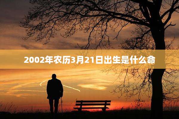 2002年农历3月21日出生是什么命