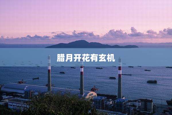 腊月开花有玄机