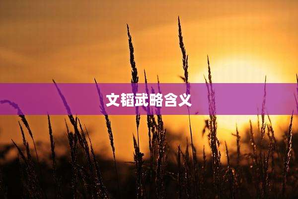 文韬武略含义