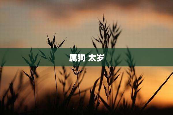 属狗 太岁