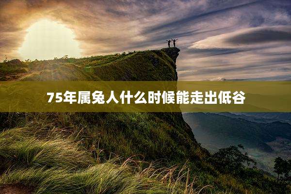 75年属兔人什么时候能走出低谷