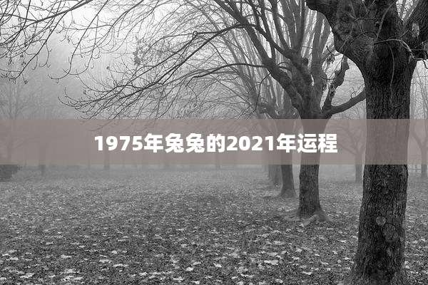 1975年兔兔的2021年运程
