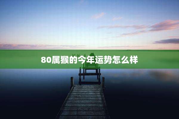 80属猴的今年运势怎么样