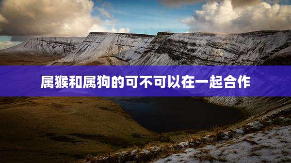 属猴和属狗的可不可以在一起合作