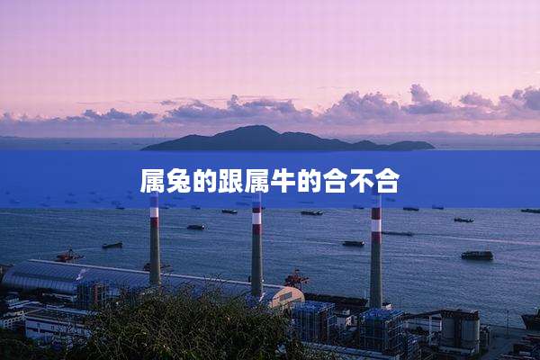 属兔的跟属牛的合不合