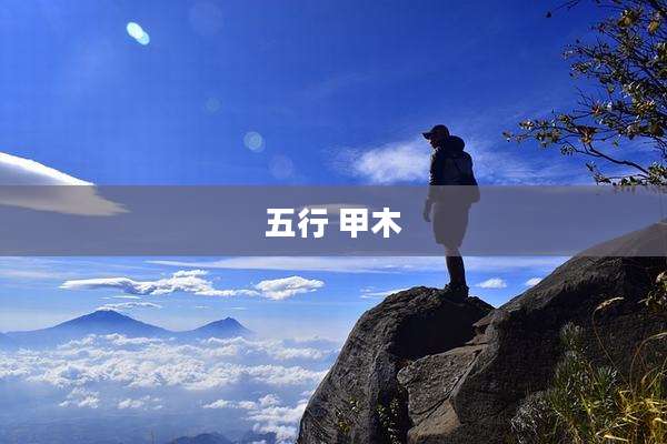 五行 甲木