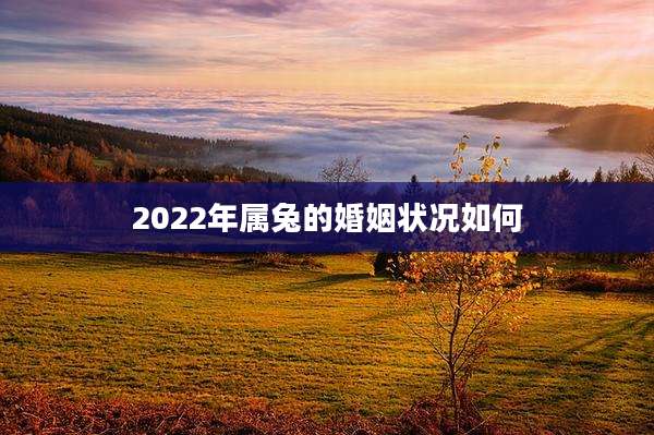 2022年属兔的婚姻状况如何
