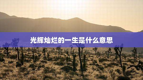 光辉灿烂的一生是什么意思