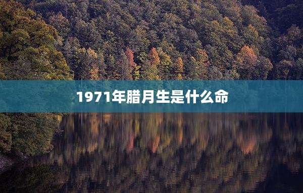 1971年腊月生是什么命