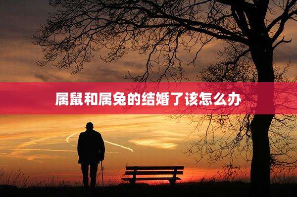 属鼠和属兔的结婚了该怎么办