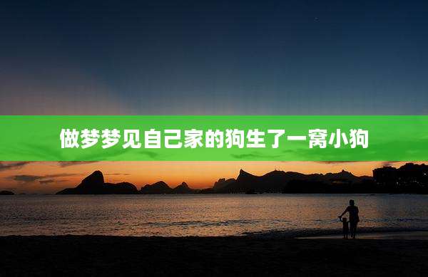 做梦梦见自己家的狗生了一窝小狗