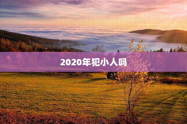 2020年犯小人吗