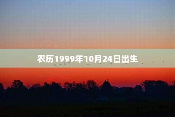 农历1999年10月24日出生