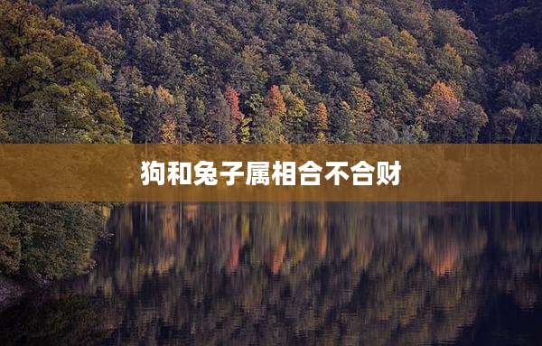 狗和兔子属相合不合财