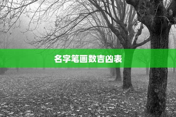 名字笔画数吉凶表
