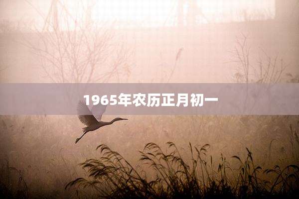 1965年农历正月初一