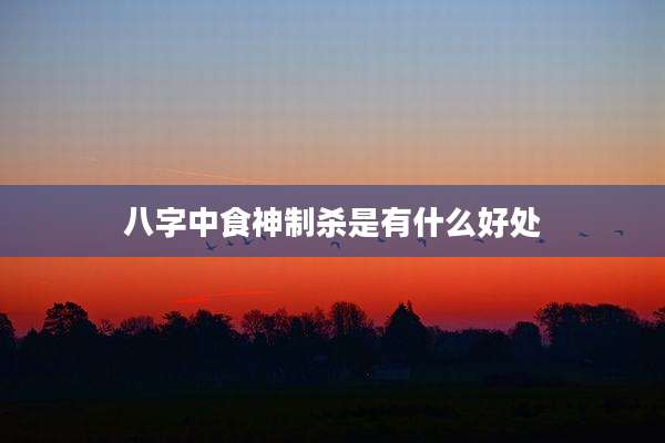 八字中食神制杀是有什么好处
