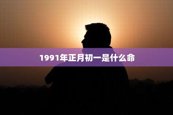 1991年正月初一是什么命