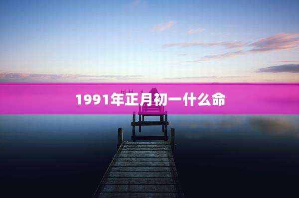 1991年正月初一什么命