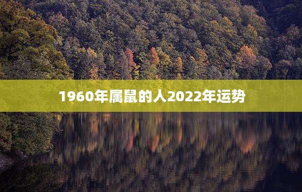 1960年属鼠的人2022年运势