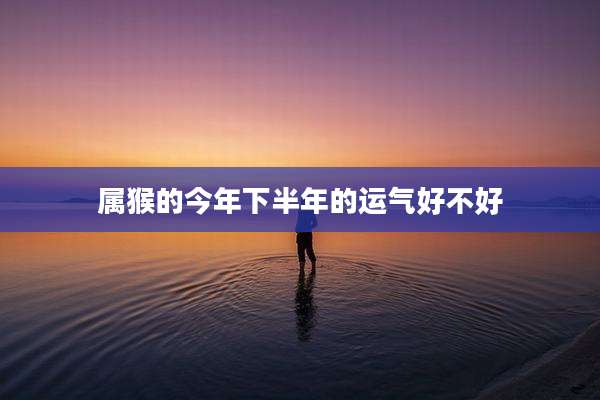 属猴的今年下半年的运气好不好