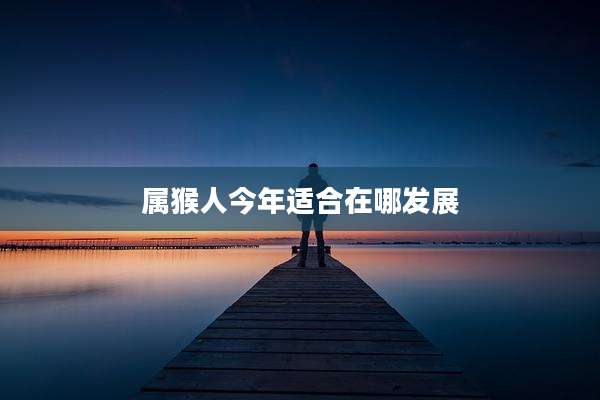 属猴人今年适合在哪发展