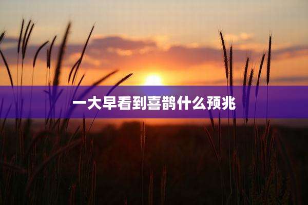 一大早看到喜鹊什么预兆