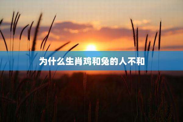 为什么生肖鸡和兔的人不和