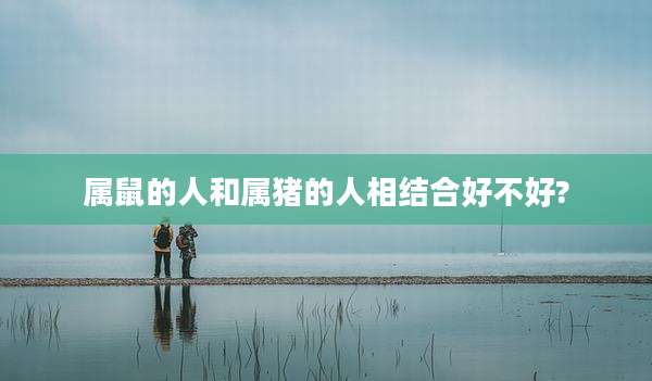 属鼠的人和属猪的人相结合好不好?