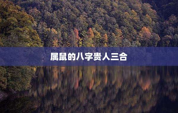 属鼠的八字贵人三合