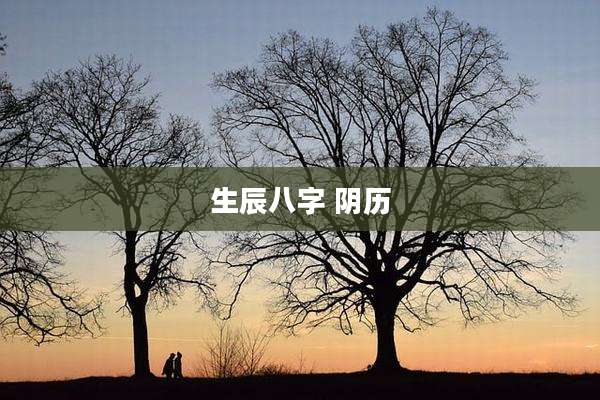 生辰八字 阴历