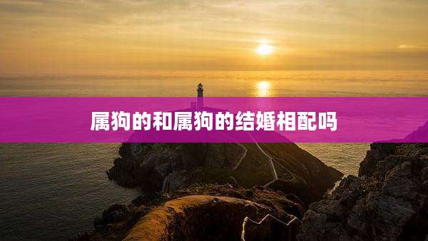 属狗的和属狗的结婚相配吗