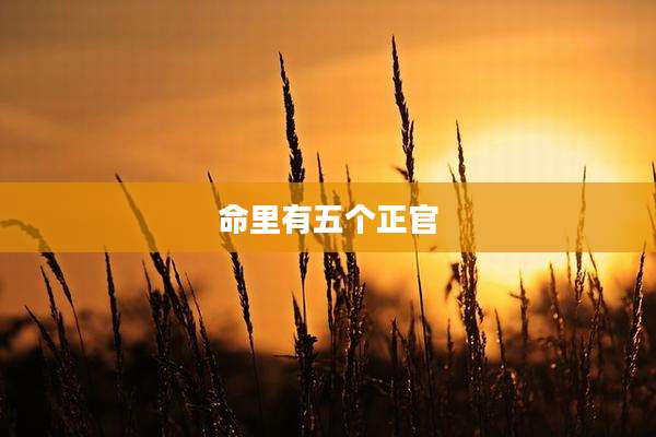 命里有五个正官