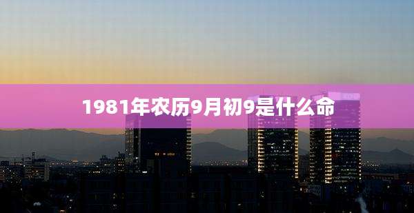 1981年农历9月初9是什么命