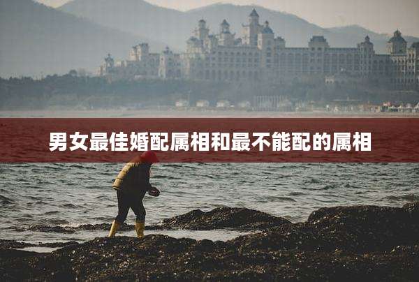 男女最佳婚配属相和最不能配的属相