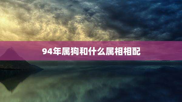 94年属狗和什么属相相配