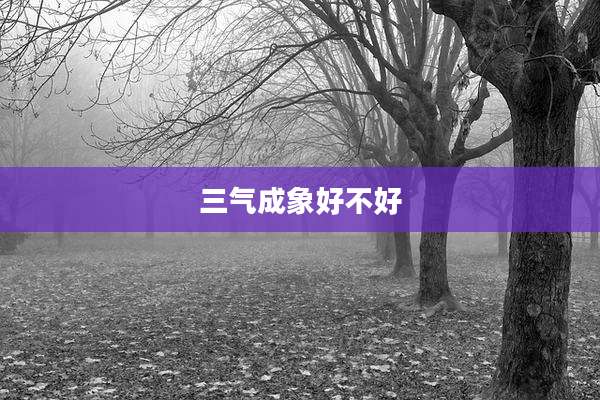 三气成象好不好