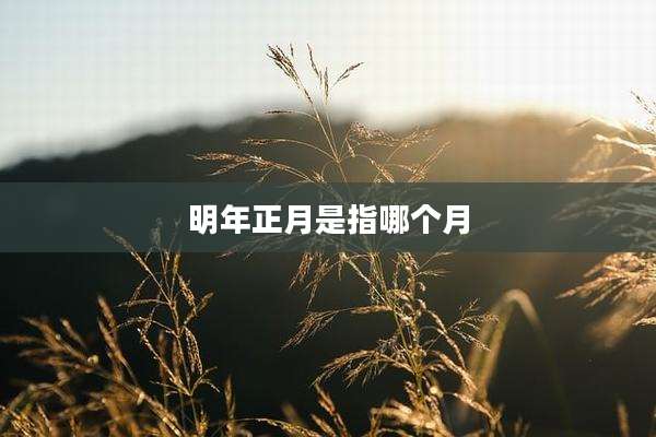 明年正月是指哪个月