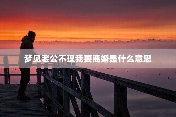 梦见老公不理我要离婚是什么意思
