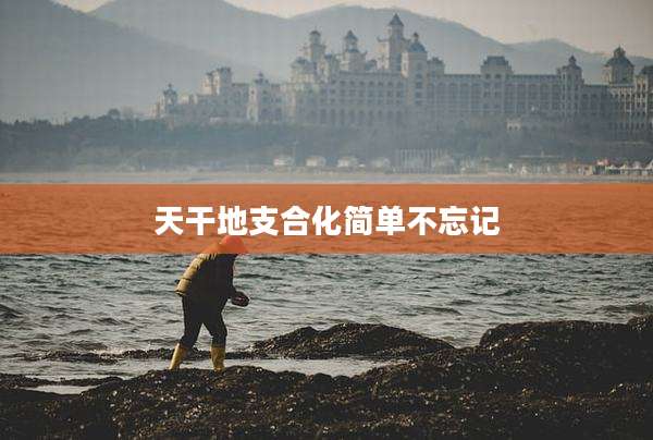 天干地支合化简单不忘记
