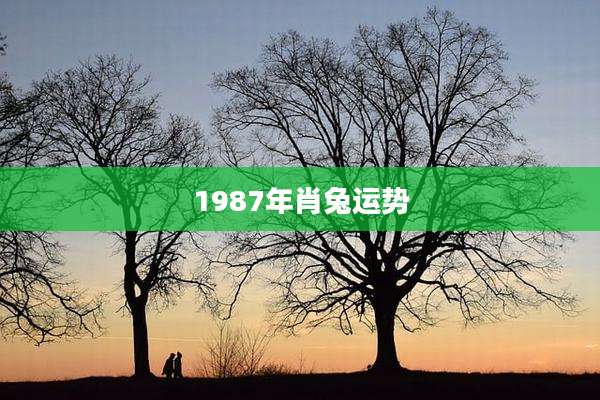 1987年肖兔运势