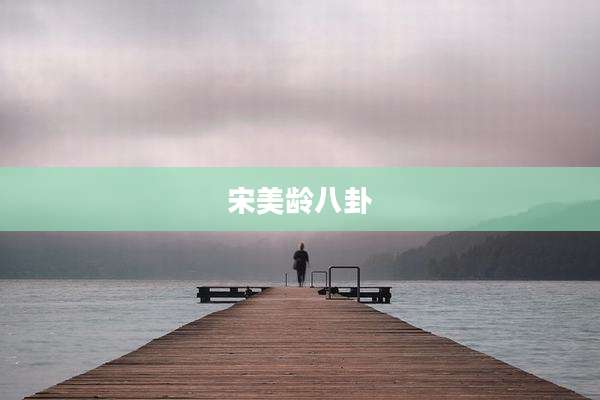 宋美龄八卦