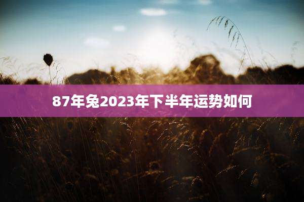 87年兔2023年下半年运势如何